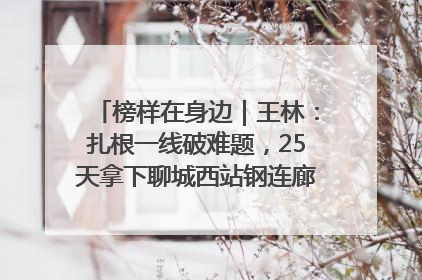 榜样在身边｜王林：扎根一线破难题，25天拿下聊城西站钢连廊“硬核”工程